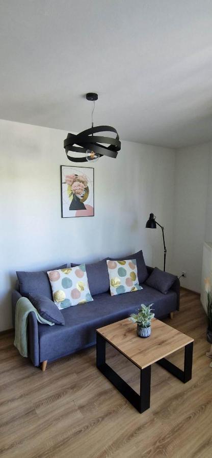 Cosy Apartment W Poblizu Tauron Arena Krakow Exterior photo